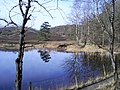 Moor- und Sumpfflächen in der Brunssummerheide