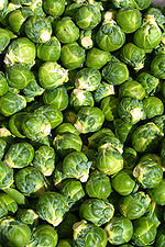 Thumbnail for Brussels sprout