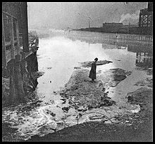 A man standing on slaughterhouse-derived waste in Bubbly Creek in Chicago in 1911. Bubblycreek.jpg