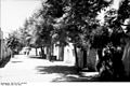 Bundesarchiv Bild 101I-521-2147-03A, Kreta, Dorf Viannos, Dorfstraße.jpg