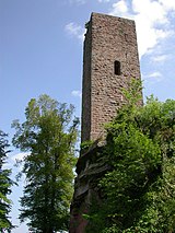 Denkmalzone Burgruine Scharfenberg (Münz)