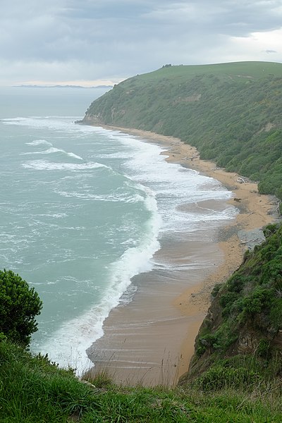 File:Bushy Beach on a foggy day.jpg