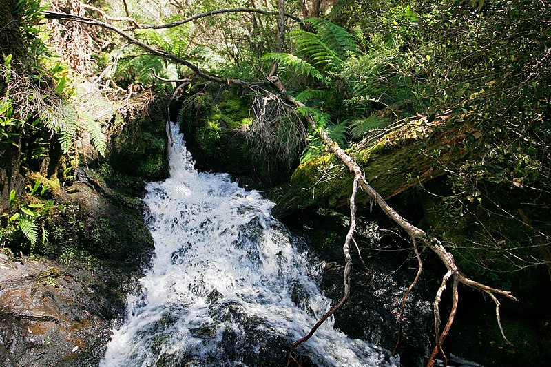 File:Butchers creek - omeo05.jpg