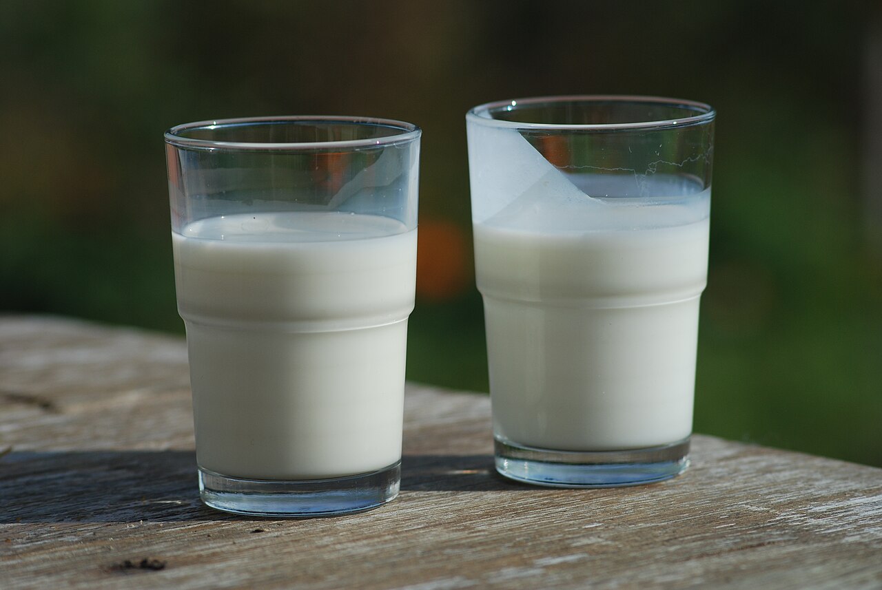 File:Glass of milk.jpg - Wikimedia Commons