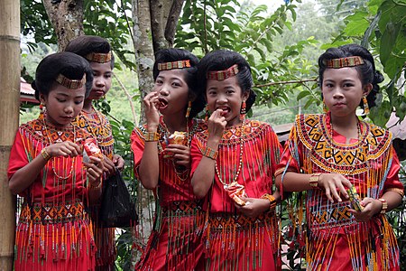 Người_Toraja