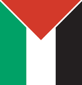 Thumbnail for Palestino F.C.