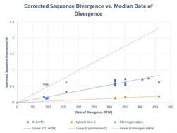 Corrected Sequence Divergence vs. Median Date of Divergence graph for human C11orf91, Fibrinogen Alpha, and Cytochrome C. C11orf91 Cytochrome C Fibrinogen Alpha Graph.png