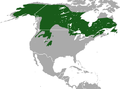 Canada Lynx area.png