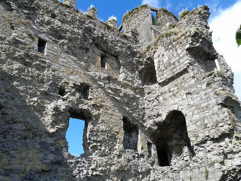 File:Carlow Castle 3.jpg