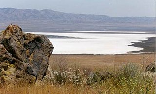 <span class="mw-page-title-main">Soda Lake (San Luis Obispo County)</span> Alkali lake in California, US