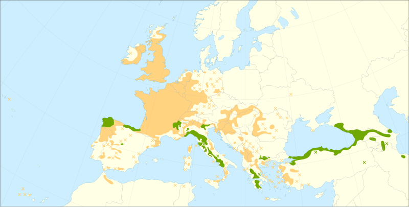 File:Castanea sativa range.svg