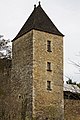 Castelnaud-la-Chapelle - Château de Castelnaud - PA00082446 - 006.jpg