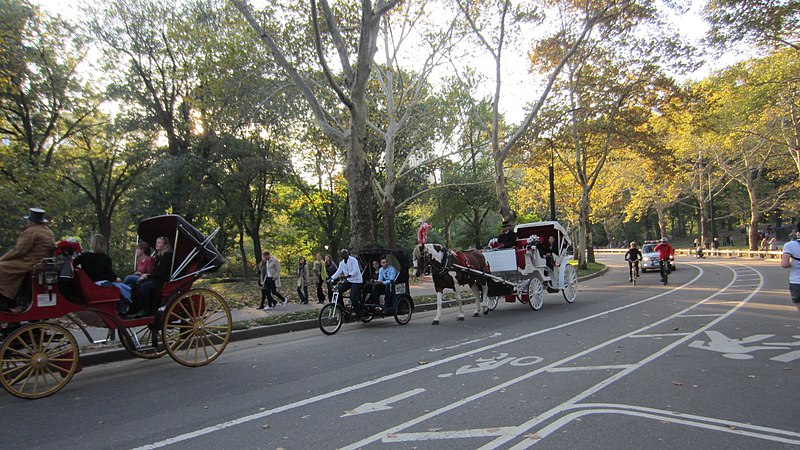 File:Central Park, New York, NY, USA - panoramio (142).jpg