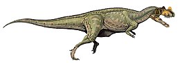 A Ceratosaurus nasicornis rekonstrukciója