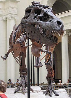 Σκελετός Τυραννόσαυρου στο Σικάγο