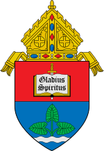 Coat of arms of the Archdiocese of Nueva Segovia