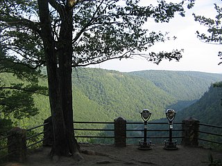 <span class="mw-page-title-main">Colton Point State Park</span> State park in Pennsylvania, US