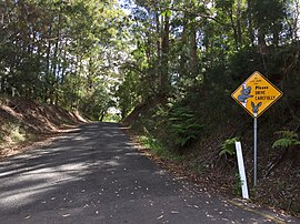 Coveys Rd, Tinbeerwah, Queensland.jpeg