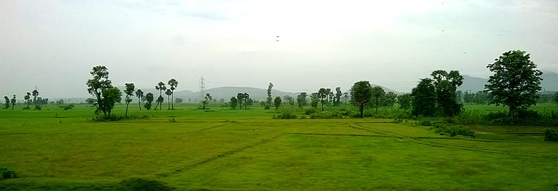 File:Crops near parvathipuram.jpg