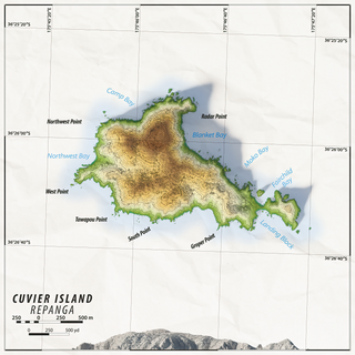 <span class="mw-page-title-main">Cuvier Island</span> Island in New Zealand