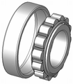 Cylindrical-roller-bearing din5412-t1 type-n ex.png