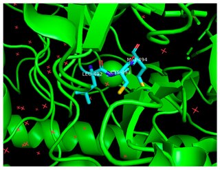 <span class="mw-page-title-main">Benzylsuccinate synthase</span>