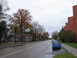 Dambja iela