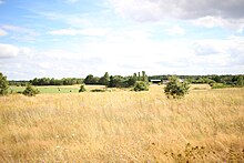 Farvefoto af en ødemark dækket med lav vegetation og spredte buske.