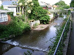 Dawlish Water ve Brook Caddesi'nin arkası, Dawlish - geograph.org.uk - 1359786.jpg