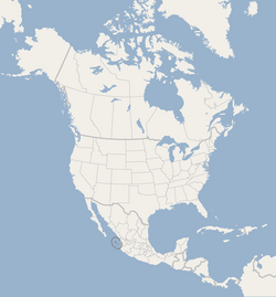 Distribution of Myotis findleyi.png