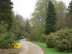 Driveway leading to Berrington Hall