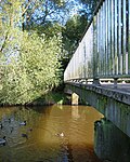 Ducks_by_the_pedestrian_bridge_-_geograph.org.uk_-_256873