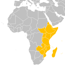 East Africa