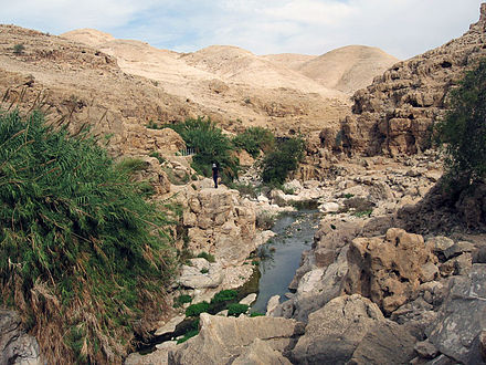 Kelt Oasis in the Prath river