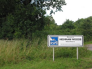 <span class="mw-page-title-main">Highnam Woods</span> Nature reserve in Gloucestershire, UK