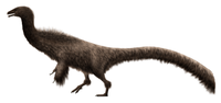 Falcarius Falcarius Restoration.png