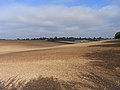 Thumbnail for File:Farmland, Bentworth - geograph.org.uk - 2229024.jpg