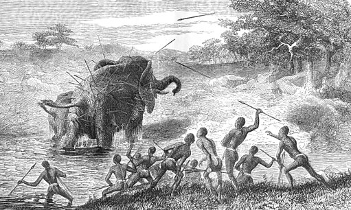 Female Elephant Pursued with Javelins