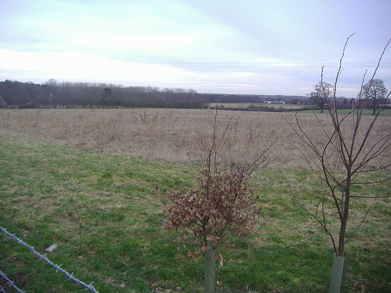File:Fields by Tollgate Road, Roestock - geograph.org.uk - 5620318.jpg