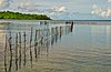 Fish trap, Pango, Efate, Vanuatu