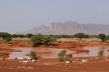 Flickr - stringer bel - The road to Timbuktu, Mali (1).jpg