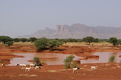 Sahel