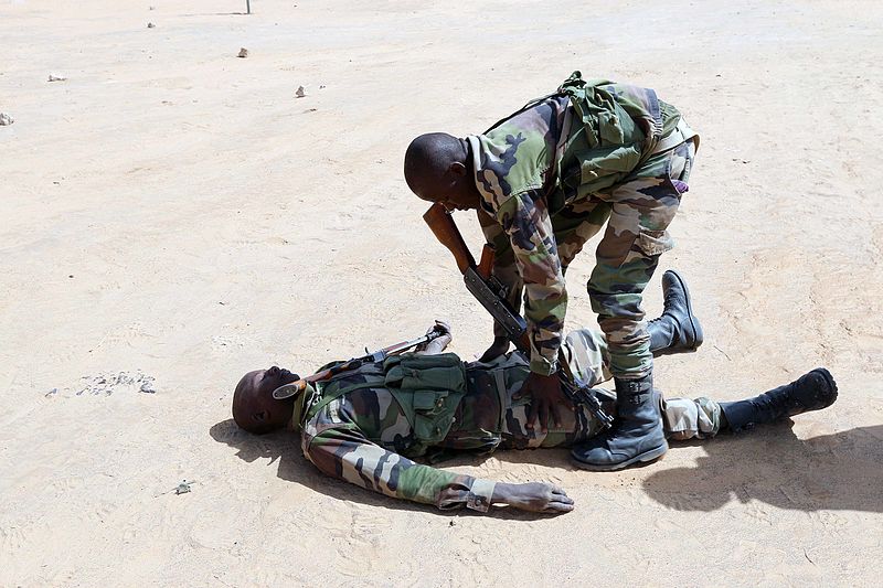 File:Flintock 2017 medical training in Niger 170225-A-UW671-005.jpg