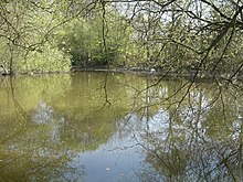 Folly Pond - geograph.org.uk - 406210.jpg