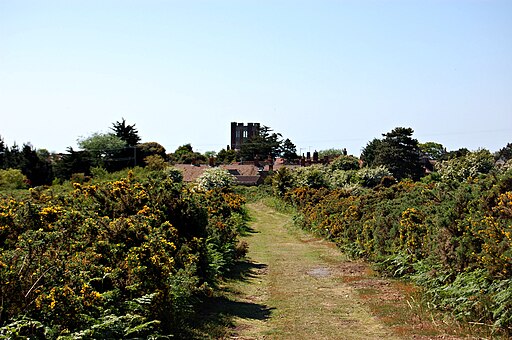 Footpath on Thorpeness Common - geograph.org.uk - 5359085