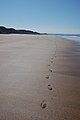 Bude Bay