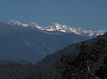 Forest and snow-covered mountains in the background