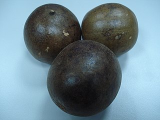 <i>Siraitia grosvenorii</i> Species of plant with a sweet gourd fruit extract