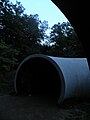 English: Gabriel Lester (Amsterdam 1972) "Transition 2012" for documenta (13) in Karlsaue Park, Kassel. A curved tunnel that becomes a framing device where a person moving through it can do "zooms" of the world upside