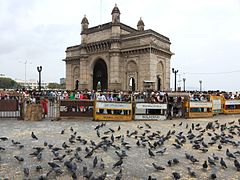 Pigeons on the gateway grounds